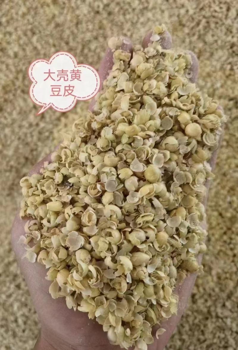 大壳豆皮