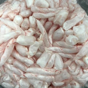 草鱼泡
