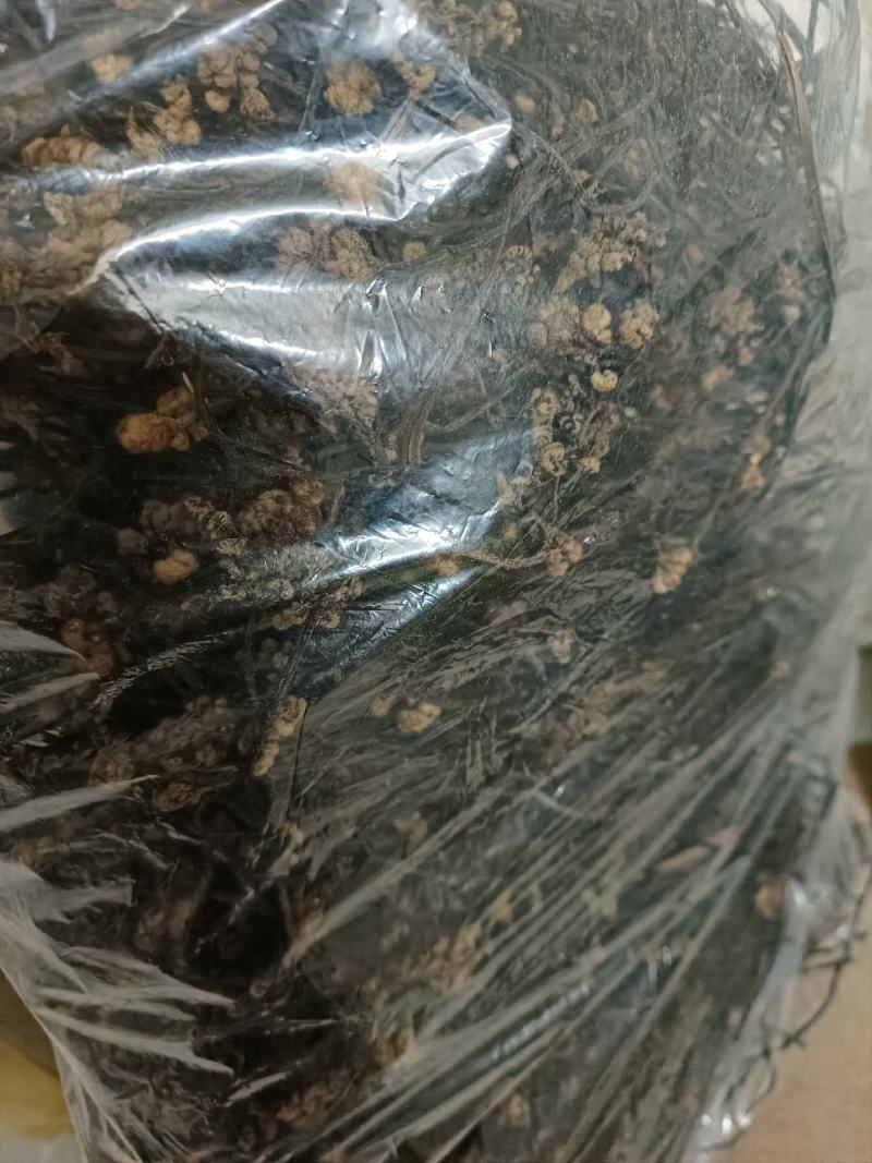 蕨菜干货