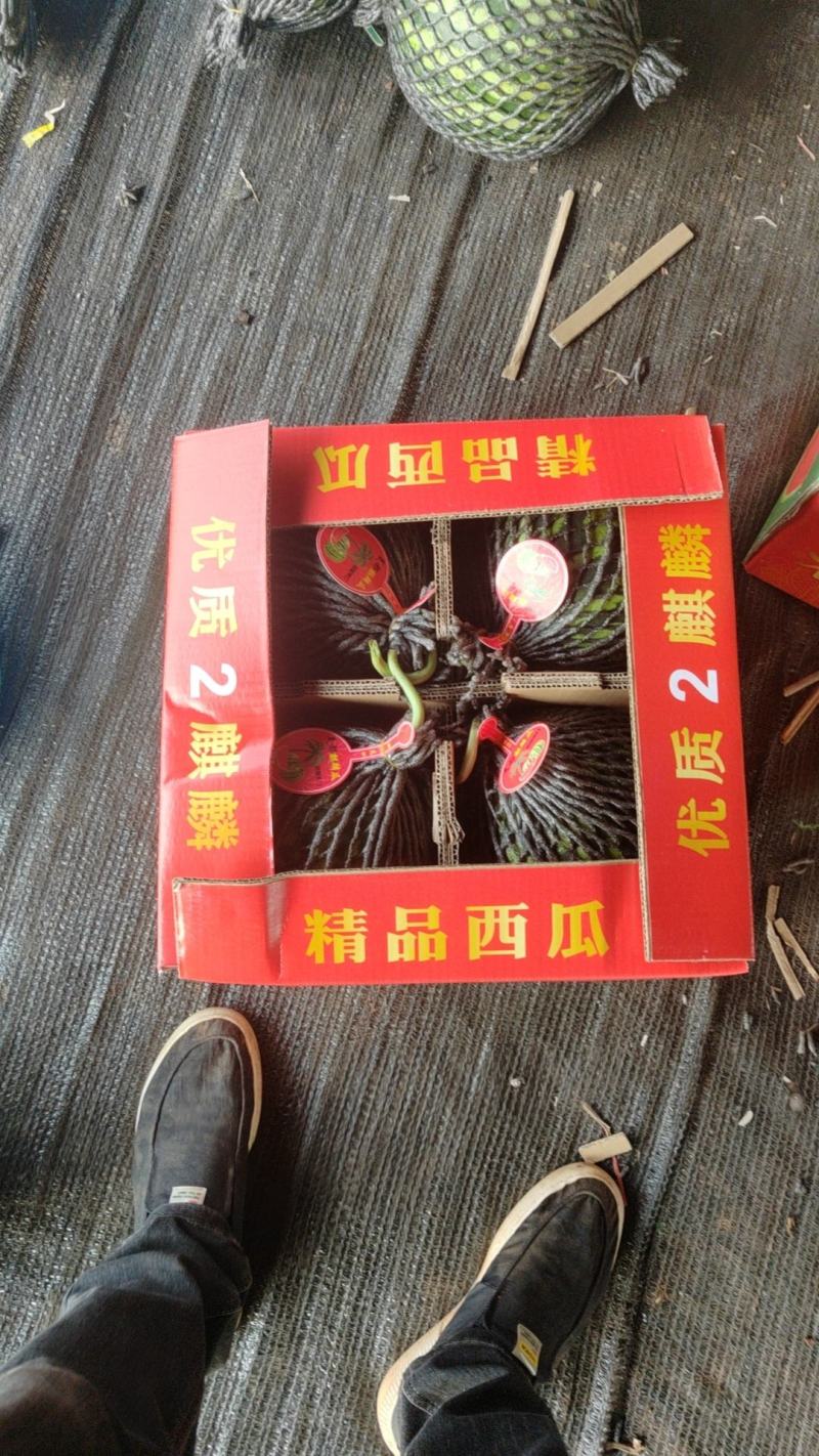 精品云南美都西瓜，价格不高，包熟包甜质量保障量大优惠