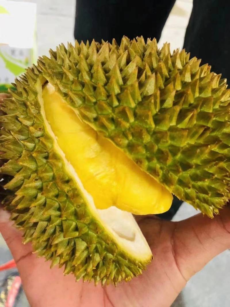 【榴莲一件代发】泰国金枕榴莲批发对接电商平台榴莲