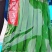 绿龙3号扁豆种子四季豆扁条架豆菜豆种籽早熟无筋豆种