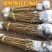 新品种桃树嫁接苗南方北方种植特大突围桃树苗早熟桃树苗当年