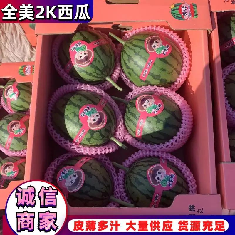 【实力商家】山东西瓜潍坊全美2k西瓜电商供应量大