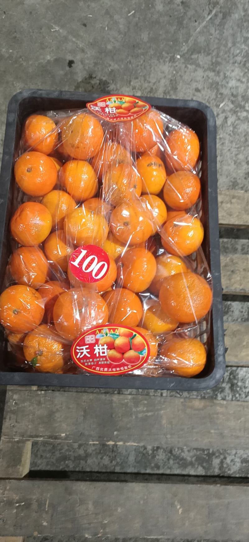 广西桂林荔浦砂糖橘当地合作社直发直接上车致电有优惠