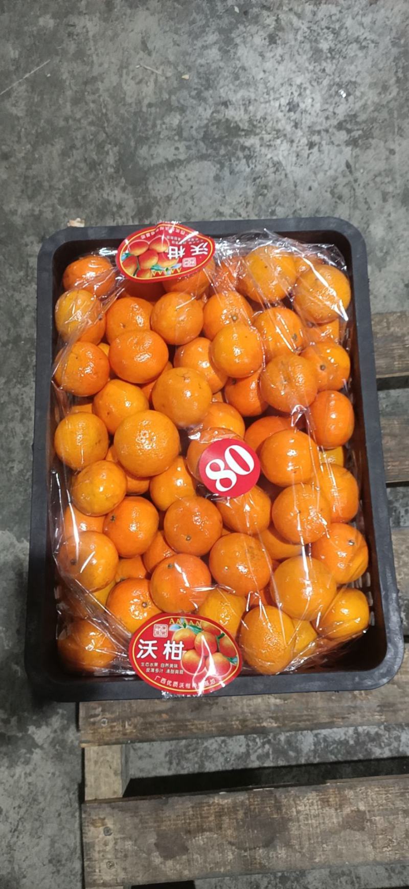 广西桂林荔浦砂糖橘当地合作社直发直接上车致电有优惠