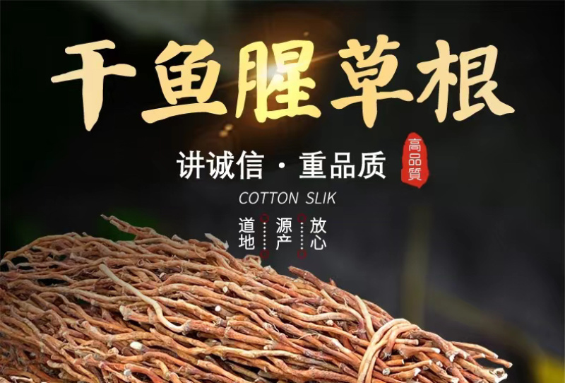 【2023鱼腥草干根】产地直销，药厂大货，干净无杂电联采购