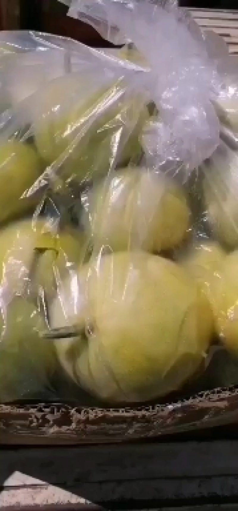甜宝甜瓜大量上市了，需要的话可以联系我