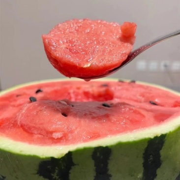 宁夏中卫硒砂瓜精品金城5双红瓤，量大从优欢迎来电