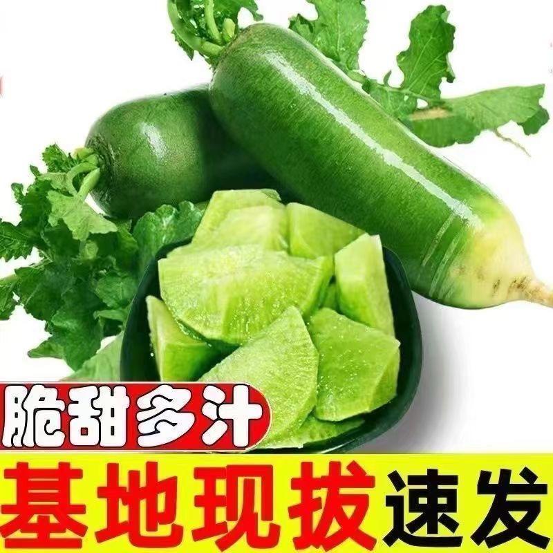 山东潍坊精品水果萝卜大量供应市场电商物美价廉欢迎采购