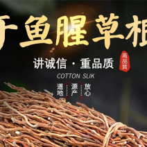 【2023鱼腥草干根】产地直销，药厂大货，干净无杂电联采购