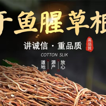 【2023鱼腥草干根】产地直销，药厂大货，干净无杂电联采购