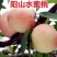 嫁接桃树苗新品种南方北方种植正宗阳山水蜜桃树苗盆栽地栽果