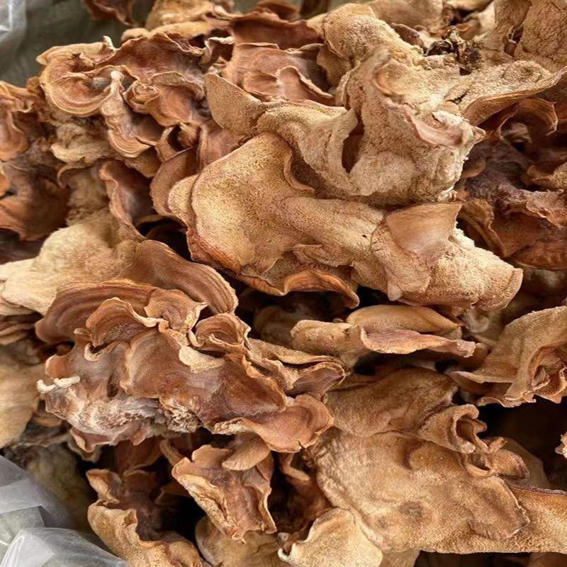 【精品】榆耳菇品质货源山东鱼台原产地发货欢迎订购