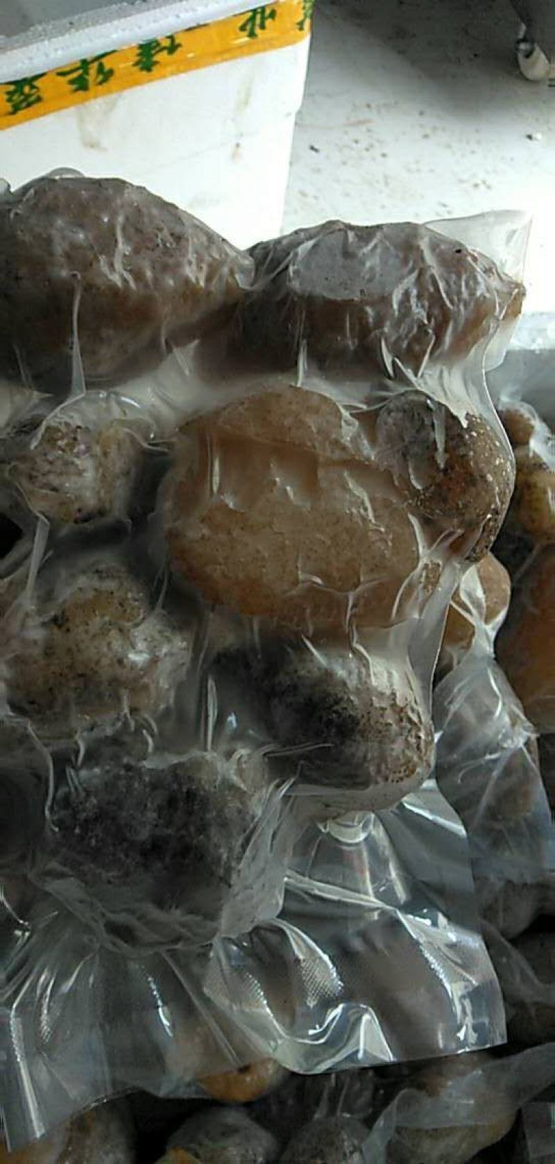 球参，也叫珍珠球，适合酒店，酒楼，大排档出品，口感爽脆