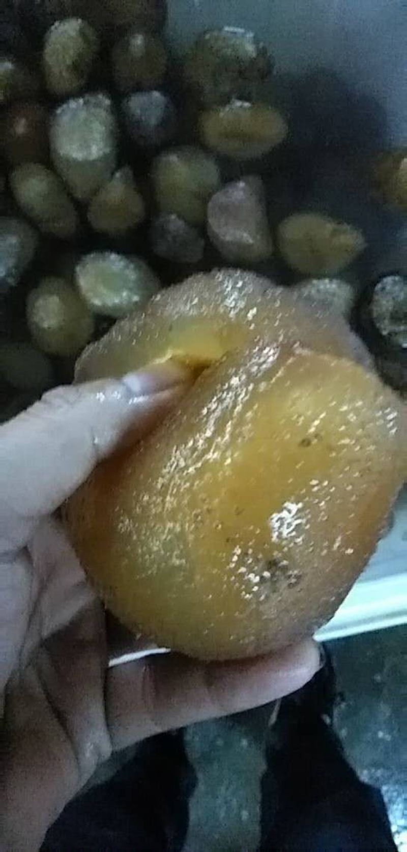 球参，也叫珍珠球，适合酒店，酒楼，大排档出品，口感爽脆
