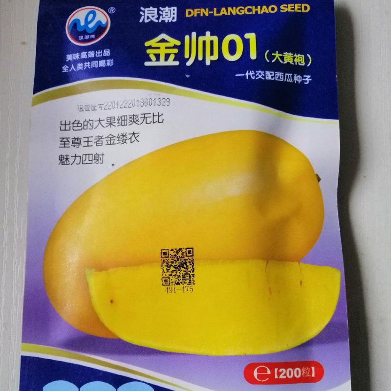 金帅01黄皮黄瓤西瓜种子抗病早熟易管理5~7公斤糖高