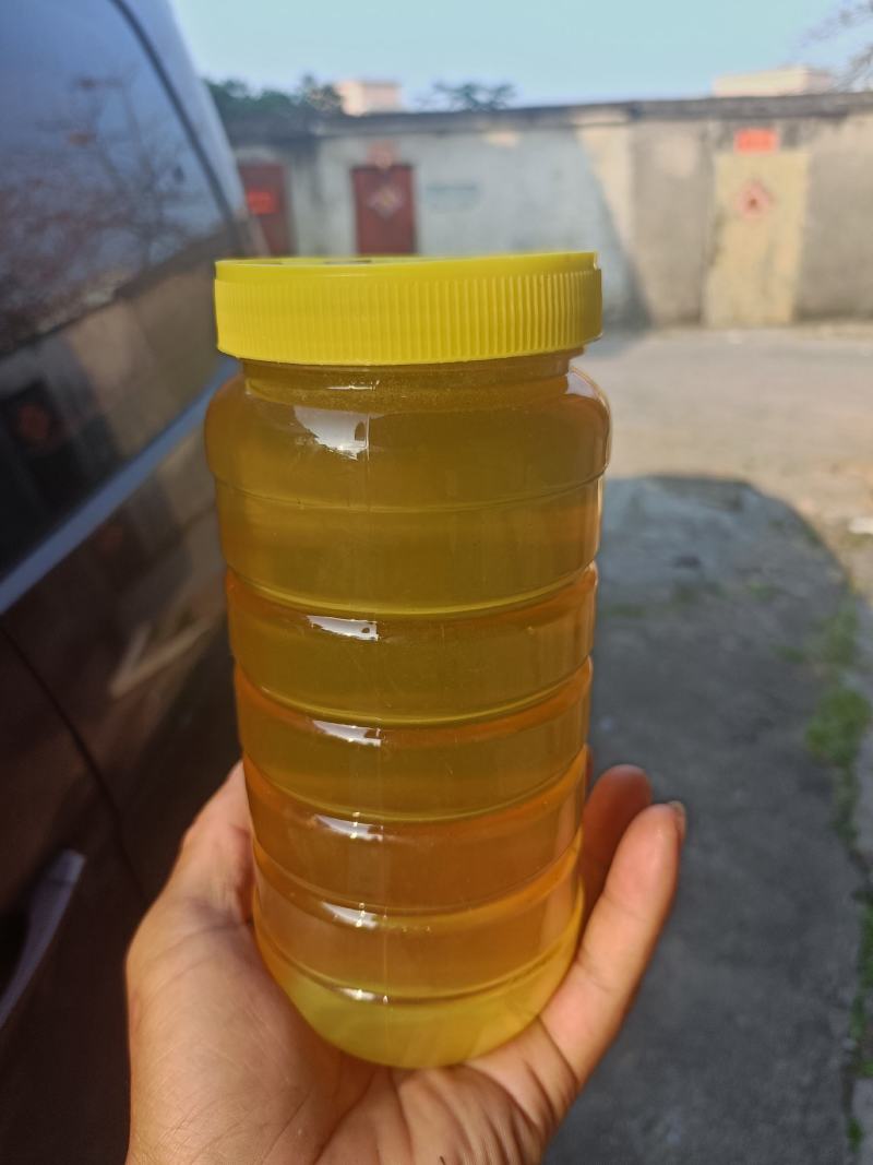 【牛商推荐】阳西荔枝蜂蜜产地一手货源保质保量欢迎订购