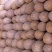 【精品蜜本南瓜】海南南瓜大量有货粉糯香甜欢迎致电