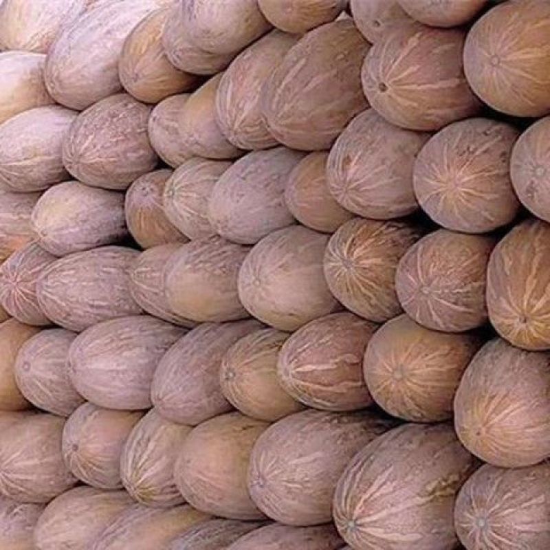 【精品蜜本南瓜】海南南瓜大量有货粉糯香甜欢迎致电