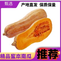 【精品蜜本南瓜】海南南瓜大量有货粉糯香甜欢迎致电