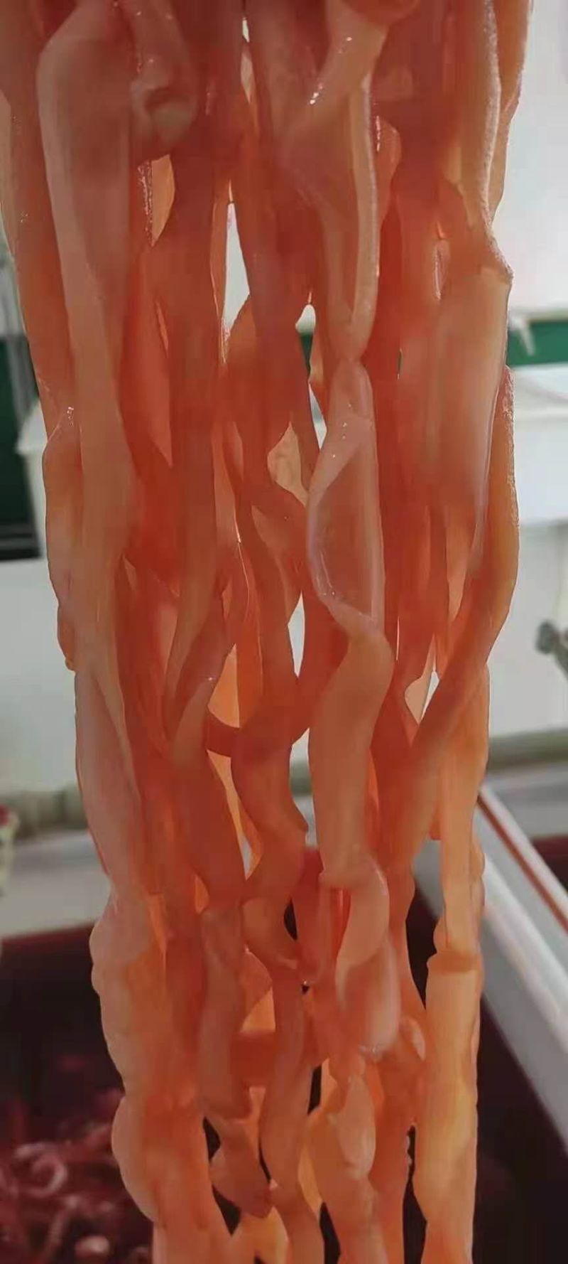 鸭肠