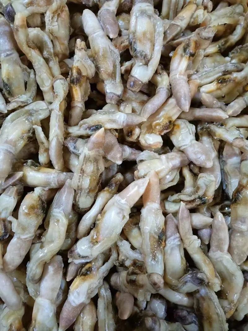 新鲜蛏王肉特大号现剥冷冻蛏王肉蛏子王鲜活竹节蛏海蛏子批发