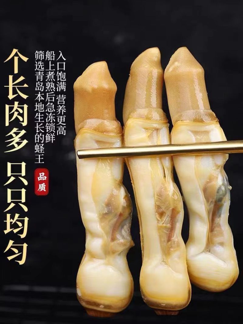 新鲜蛏王肉特大号现剥冷冻蛏王肉蛏子王鲜活竹节蛏海蛏子批发