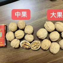 新货新疆薄皮核桃（产地直发可供应展会摆摊门火爆等）