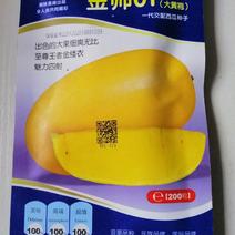 金帅01黄皮黄瓤西瓜种子抗病早熟易\理5~7公斤糖高