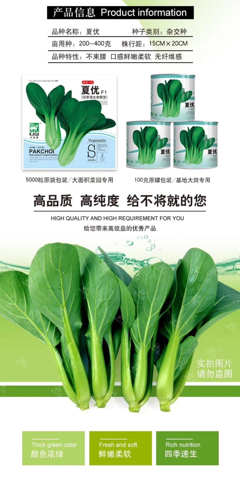 夏优耐湿抗热青梗菜种子一年四季蔬菜种籽速生鸡毛菜种子基地