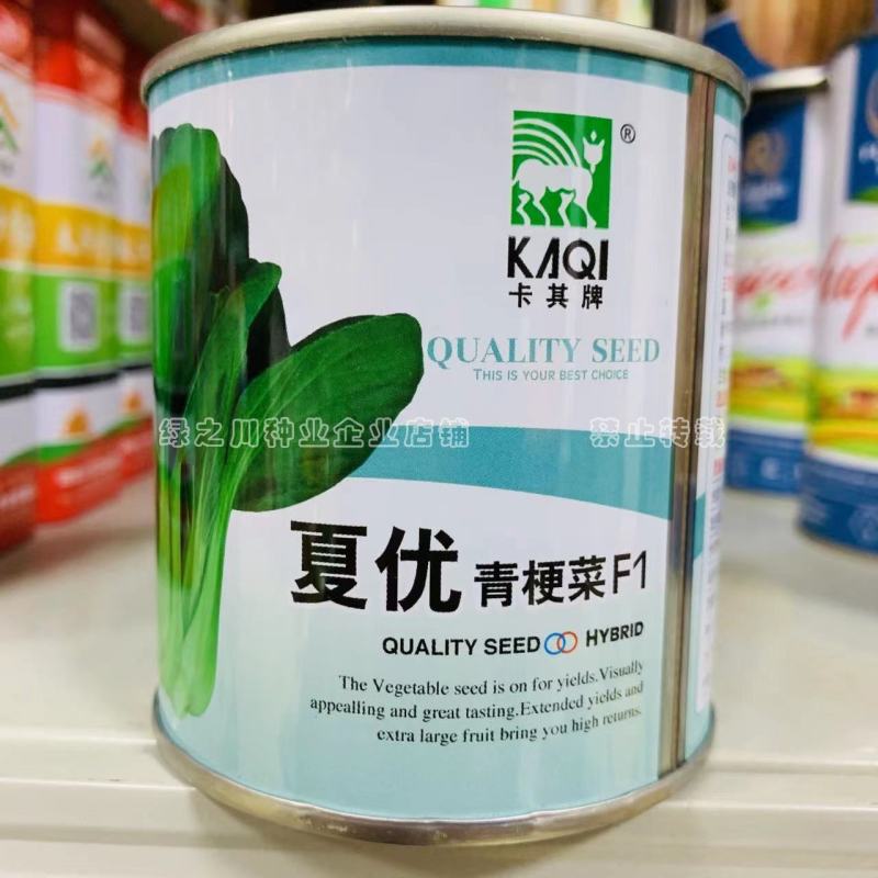 夏优耐湿抗热青梗菜种子一年四季蔬菜种籽速生鸡毛菜种子基地