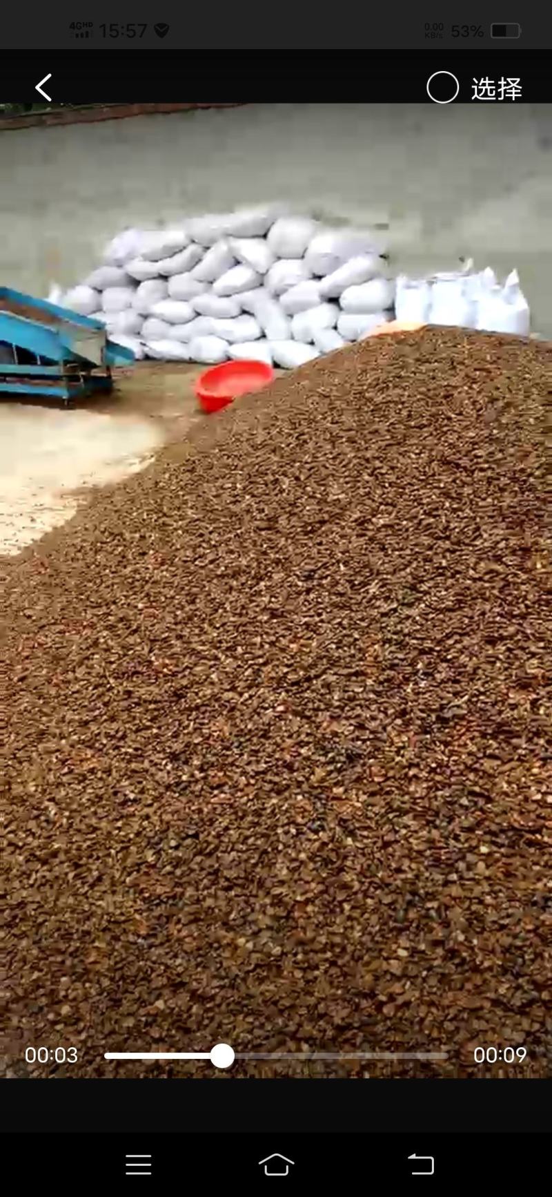 土元卵，新鲜饱满，干净，出虫率高，养殖土元每天傍晚喂一次