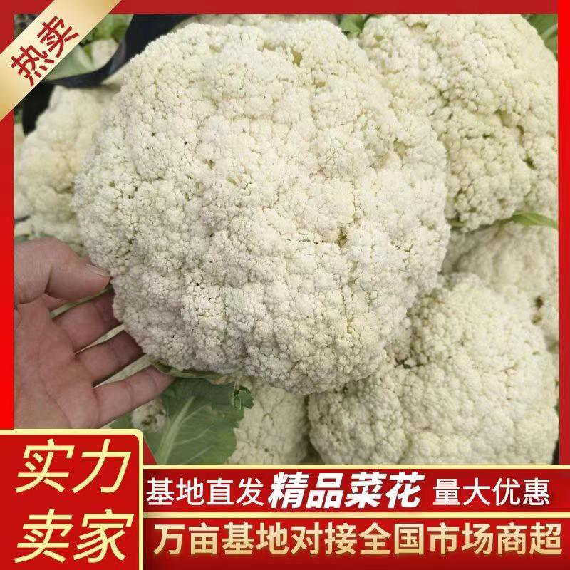 河南花菜大量上市产地直发，个头小，价格真实欢迎咨询