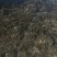 海带干海带干海带干海带丝烘干水洗海带丝海带皮