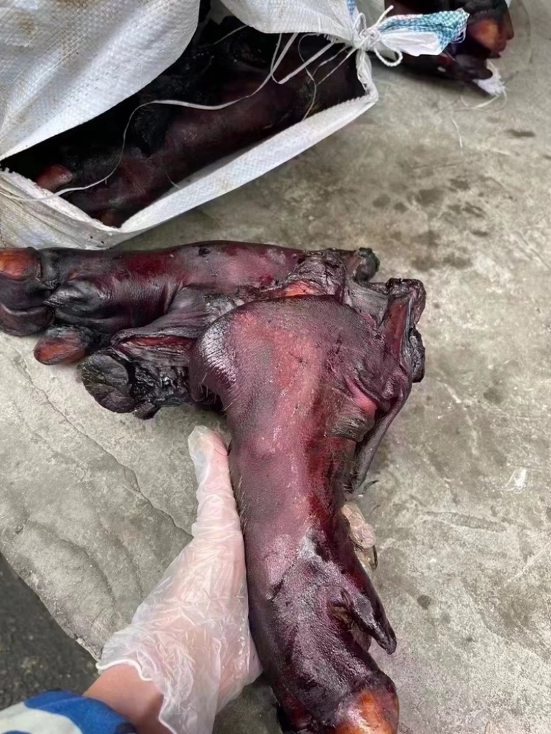 烟熏短猪脚（一手工厂展会摆摊早夜市火爆模式净菜食品供应