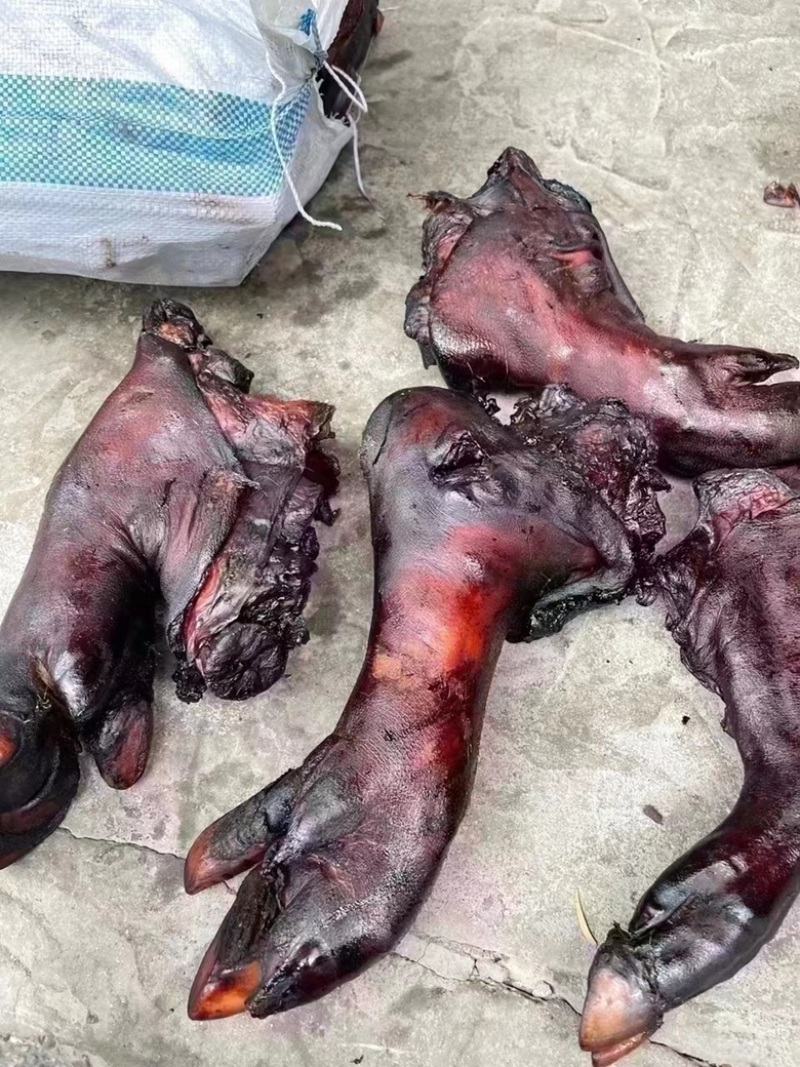 烟熏短猪脚（一手工厂展会摆摊早夜市火爆模式净菜食品供应