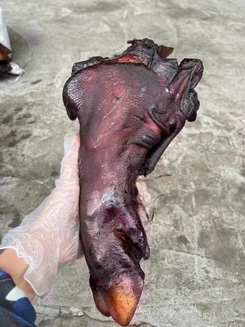 烟熏短猪脚（一手工厂展会摆摊早夜市火爆模式净菜食品供应