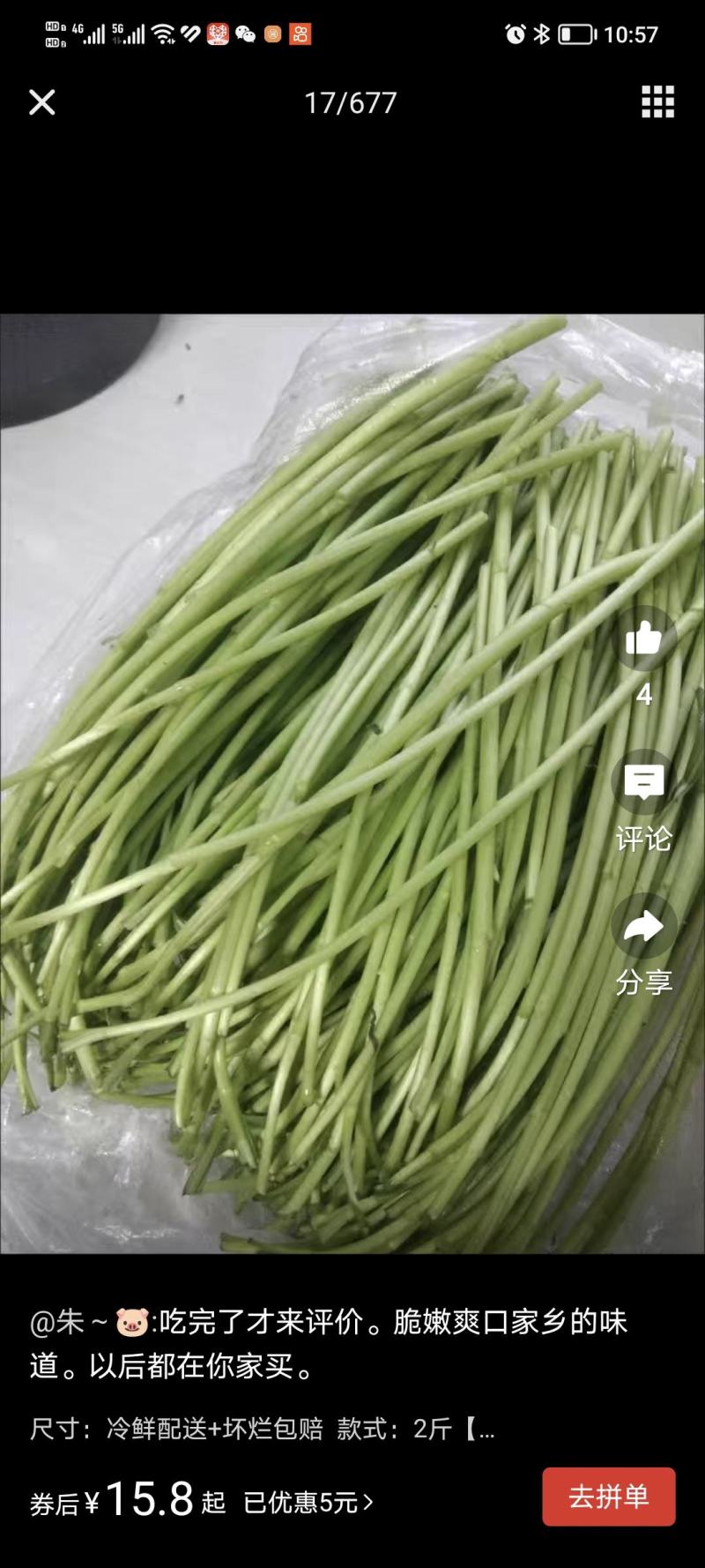 江苏宿迁芦蒿