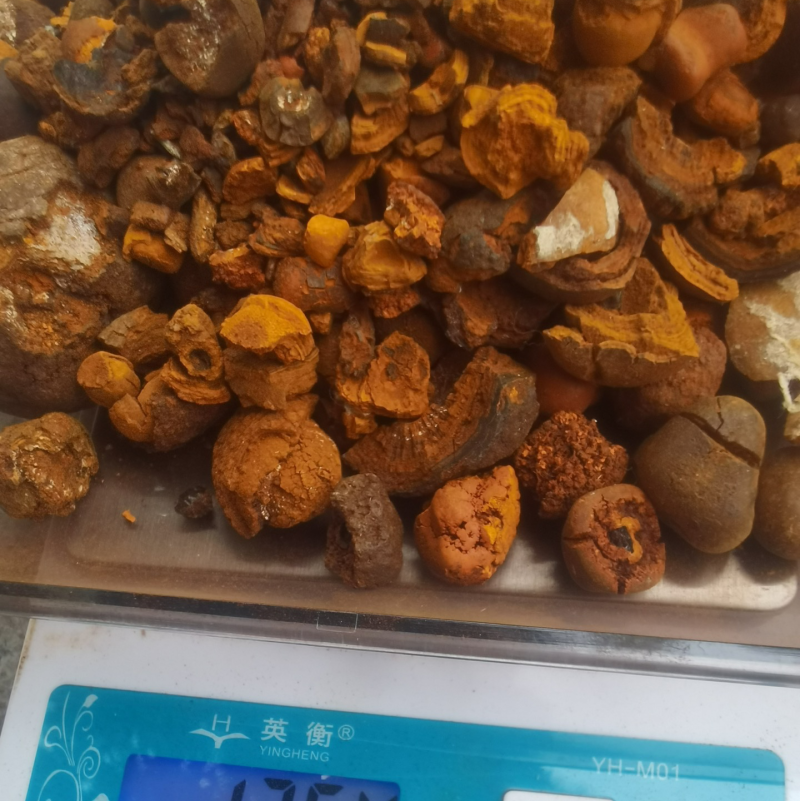 本公司长期在广州高价上门收购天然牛黄。