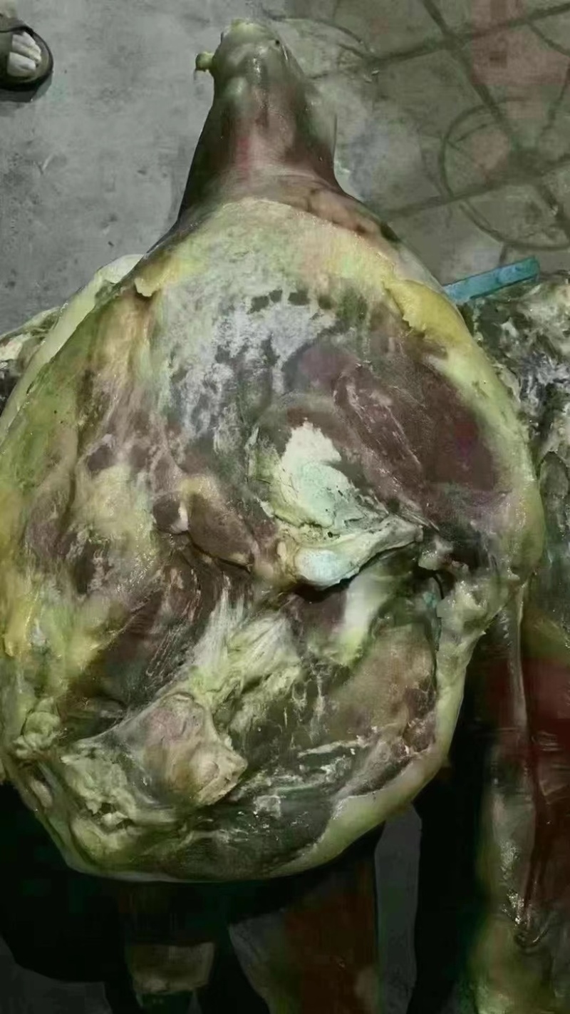 【腊肉】宣威火腿（一手工厂净菜食品常年供应）