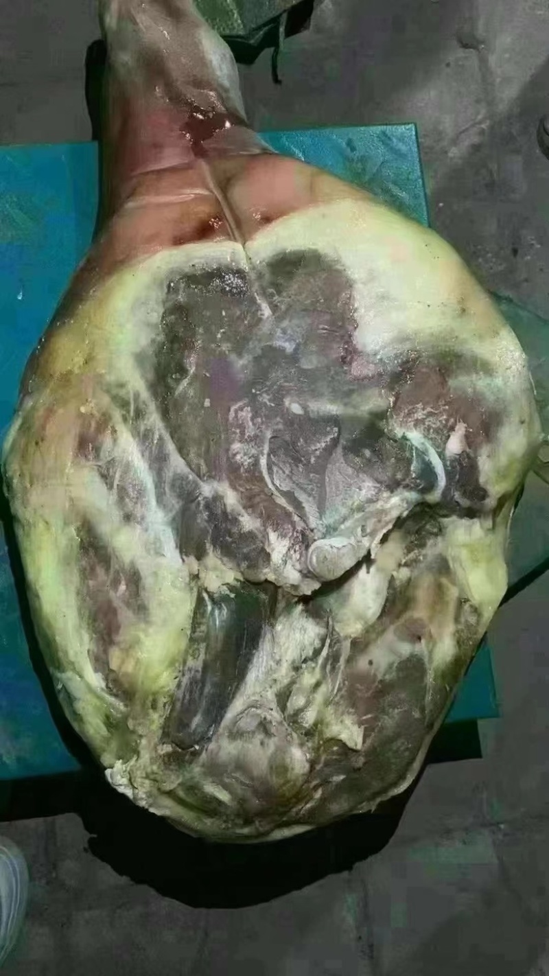 【腊肉】宣威火腿（一手工厂净菜食品常年供应）