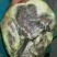 【腊肉】宣威火腿(一手工厂净菜食品常年供应)