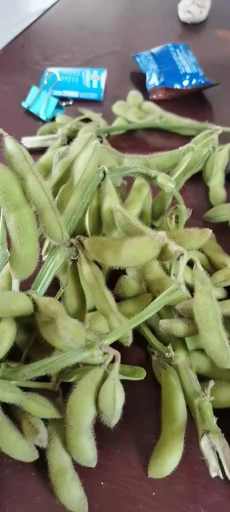 【实力供货】精品绿宝石毛豆，产地发货，代收代发保质保量