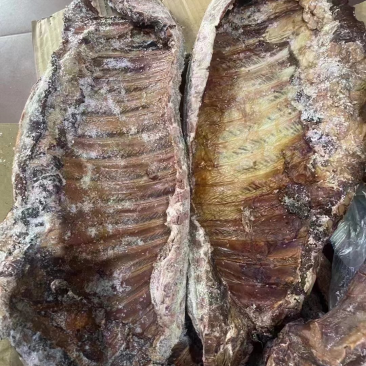 【腊排骨】烟熏小腊排（一手工厂饭店串串店净菜食品供应）