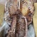 【腊排骨】烟熏小腊排（一手工厂饭店串串店净菜食品供应）