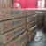 【浙江精品】早春红玉产地直发甘美4k品种齐全诚信经营