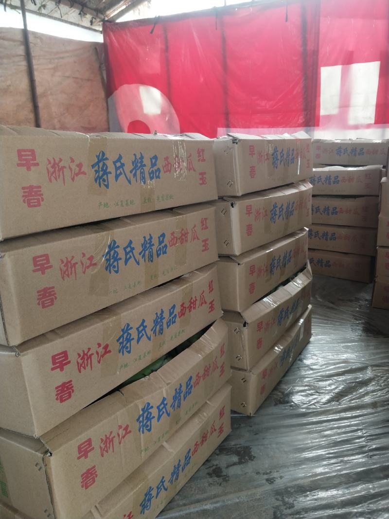 【浙江精品】早春红玉产地直发甘美4k品种齐全诚信经营