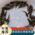 七星鱼苗花星雷龙山斑三花渔场直供可以高密度养殖