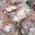 三文鱼头